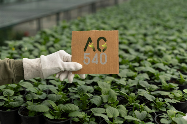 Services AG540 — Conseil agricole international